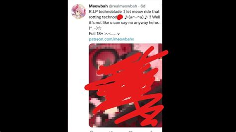 The post shows a censored picture of in Meowbahhs words, Meowbahh and Technoblade having sex inside Technos coffin. . Meowbahh twitter techno post
